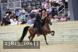 23R13_10945 thumbnail