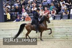 23R13_10946 thumbnail