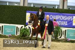 23R13_10947 thumbnail