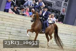 23R13_10953 thumbnail