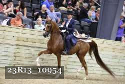 23R13_10954 thumbnail