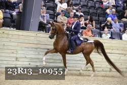 23R13_10955 thumbnail