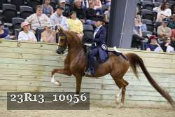 23R13_10956 thumbnail