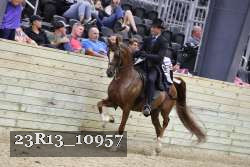 23R13_10957 thumbnail