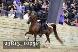 23R13_10958 thumbnail
