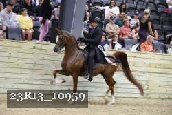 23R13_10959 thumbnail