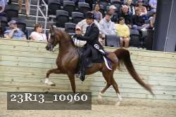 23R13_10960 thumbnail