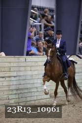 23R13_10961 thumbnail