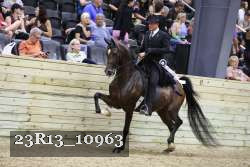 23R13_10963 thumbnail