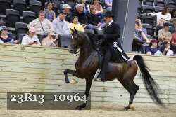 23R13_10964 thumbnail