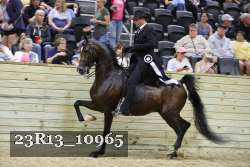 23R13_10965 thumbnail