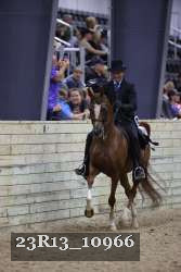 23R13_10966 thumbnail