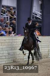 23R13_10967 thumbnail