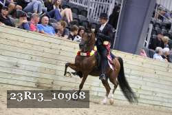 23R13_10968 thumbnail