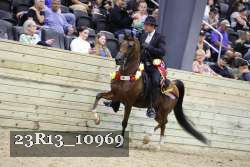 23R13_10969 thumbnail