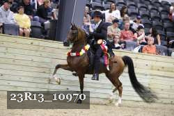 23R13_10970 thumbnail