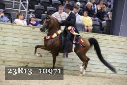 23R13_10971 thumbnail