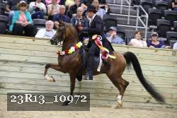 23R13_10972 thumbnail
