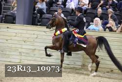 23R13_10973 thumbnail