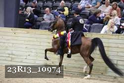 23R13_10974 thumbnail