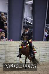 23R13_10975 thumbnail