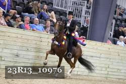 23R13_10976 thumbnail