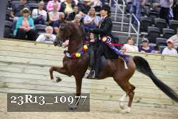 23R13_10977 thumbnail
