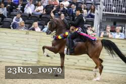 23R13_10979 thumbnail