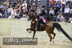 23R13_10980 thumbnail