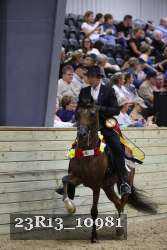 23R13_10981 thumbnail