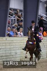 23R13_10982 thumbnail