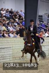 23R13_10983 thumbnail