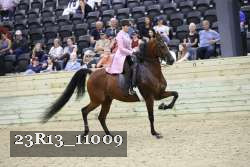 23R13_11009 thumbnail
