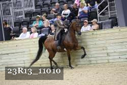23R13_11010 thumbnail