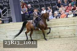 23R13_11011 thumbnail
