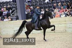 23R13_11013 thumbnail