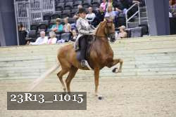 23R13_11015 thumbnail