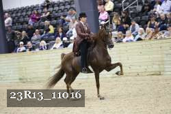 23R13_11016 thumbnail