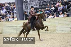 23R13_11017 thumbnail