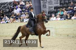 23R13_11019 thumbnail