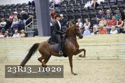 23R13_11020 thumbnail