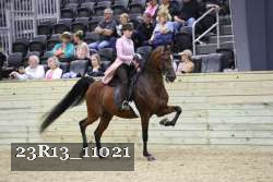 23R13_11021 thumbnail