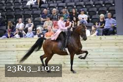 23R13_11022 thumbnail