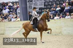 23R13_11024 thumbnail