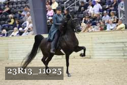 23R13_11025 thumbnail