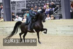 23R13_11026 thumbnail