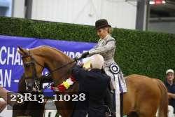 23R13_11028 thumbnail
