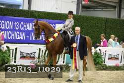 23R13_11029 thumbnail