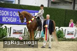 23R13_11031 thumbnail