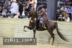 23R13_11083 thumbnail